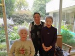 中庭の紫陽花が満開