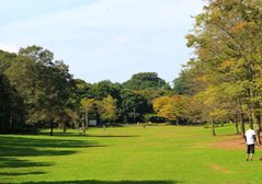 21世紀の森と広場