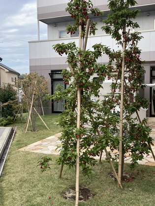 ホームステーション羽沢横浜国大