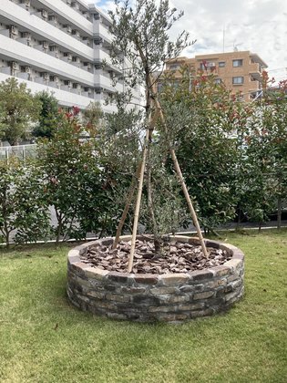 ホームステーション羽沢横浜国大