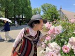 四季の香ローズガーデンは花盛り