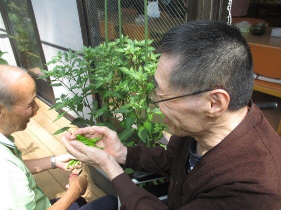 ホームステーション海老名