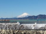 新年の施設からの富士山