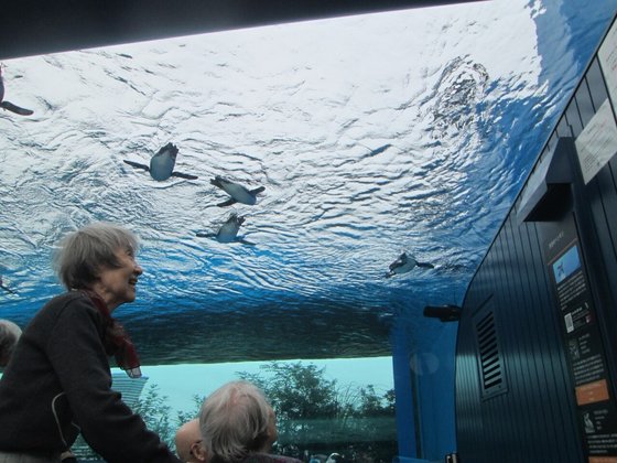 ホームステーション高田馬場