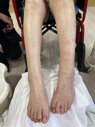 ホームステーション愛甲石田