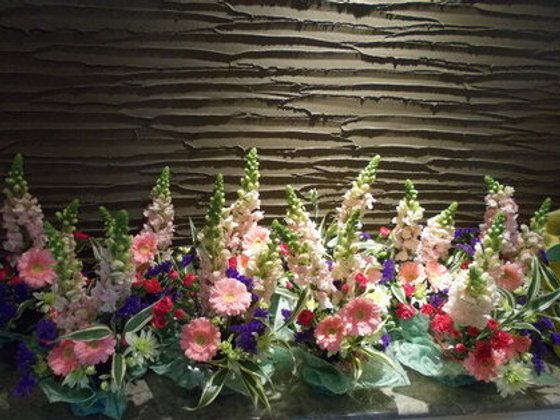 ホームステーション日野