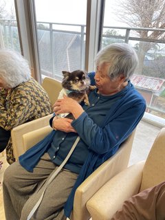 ドッグセラピー