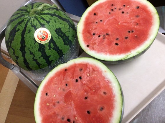 ホームステーション湯河原