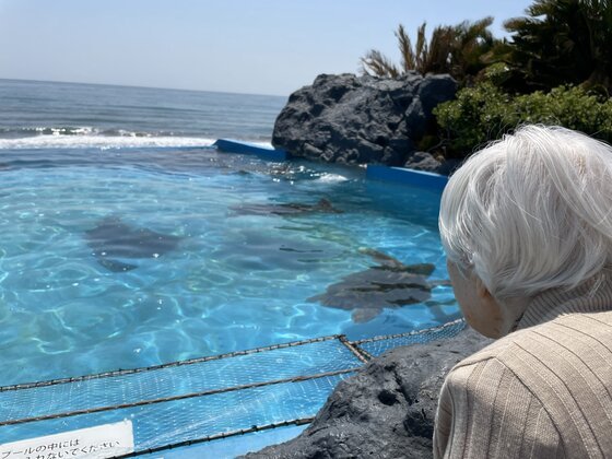 ホームステーション幕張本郷