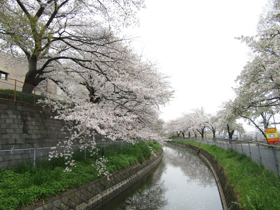 ホームステーション東浦和