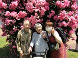 素敵‼!圧巻のバラ❥外出レポートvol.2