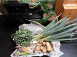 屋上野菜