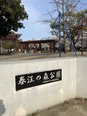 2026年お花見①