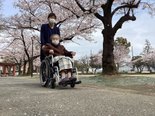 2026年お花見②