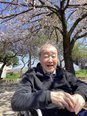 2026年お花見③