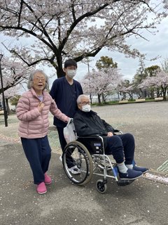 2026年お花見④