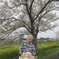 2026お花見🌸②