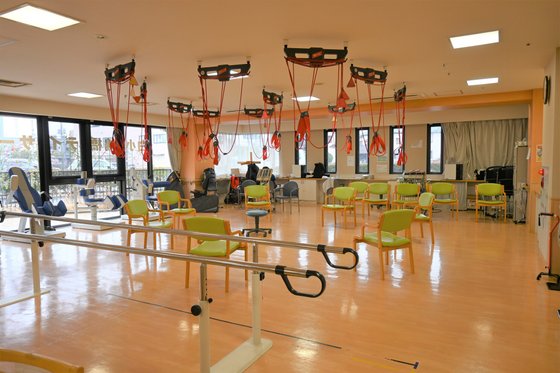 白小鳩橋めいせい