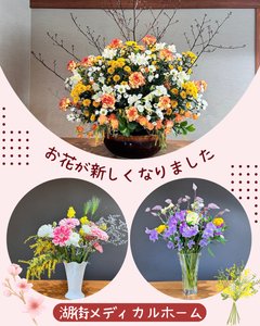 お花が新しくなりました🌼