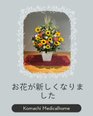 お花が新しくなりました🌼