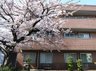 輝ホームしのざき