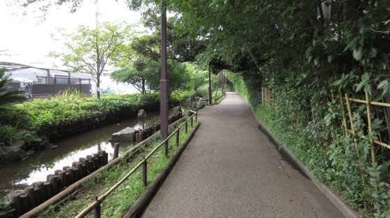 申孝園ロータスヴィラ