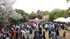 「申孝園・桜祭り」
