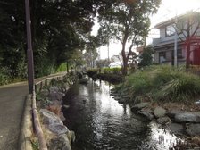 自然豊かでお散歩に最適。