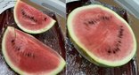 スイカ🍉を切ってみました。