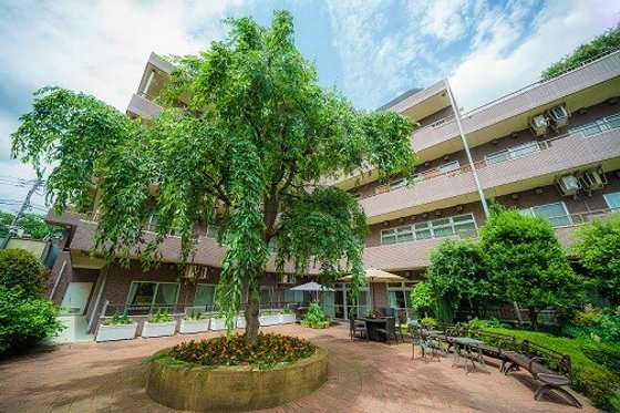 もみの樹・練馬