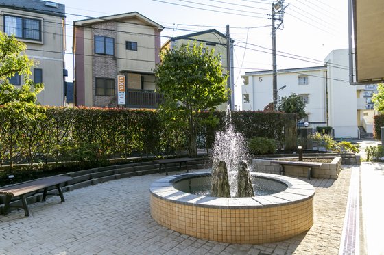 もみの樹・練馬