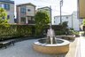 もみの樹・練馬