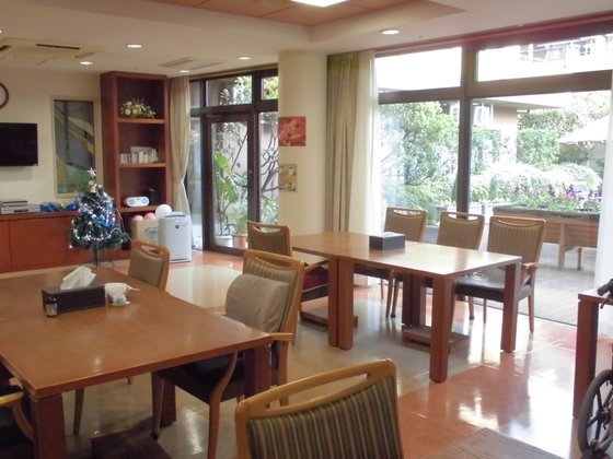 もみの樹・杉並