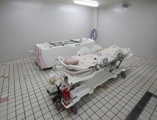 もみの樹・杉並