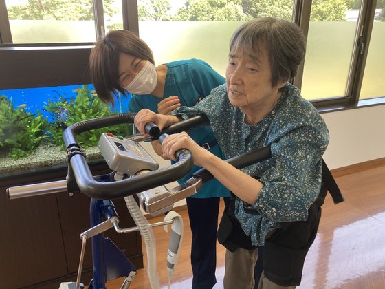 もみの樹・杉並