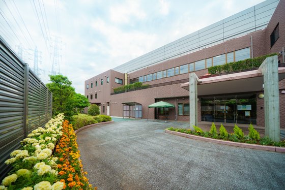 もみの樹・杉並