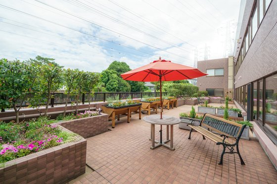 もみの樹・杉並