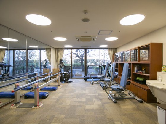 もみの樹・杉並