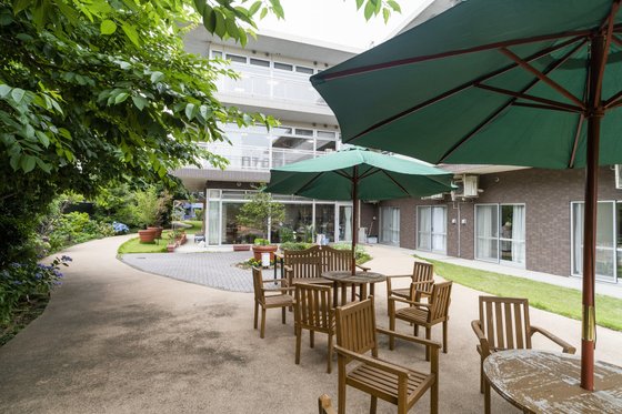 もみの樹・横浜鶴見