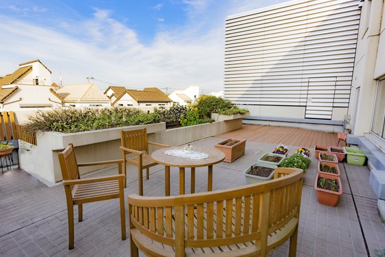 もみの樹・横浜鶴見