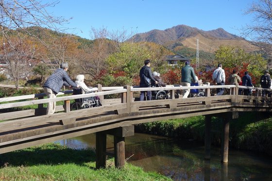 もみの樹・横浜鶴見