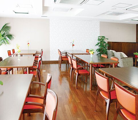 もみの樹・横浜鶴見