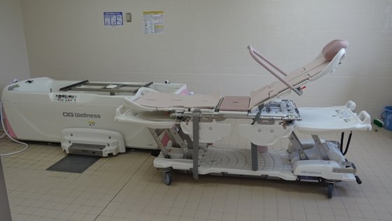 もみの樹・横浜鶴見