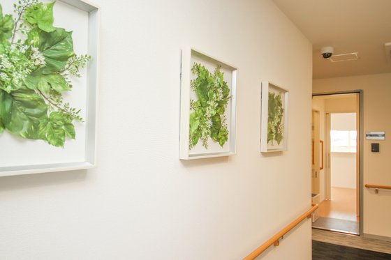 やすらぎの街 アルメリア成城北