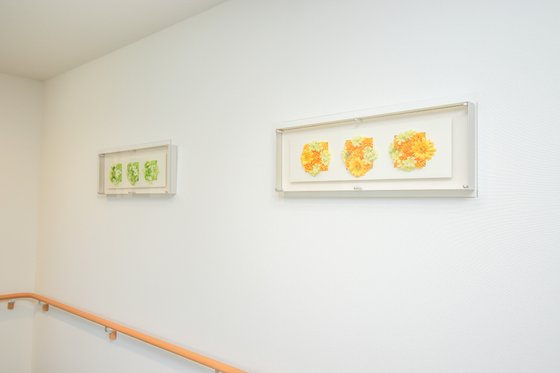 やすらぎの街 アルメリア成城北