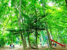 松ヶ丘ふるさと公園