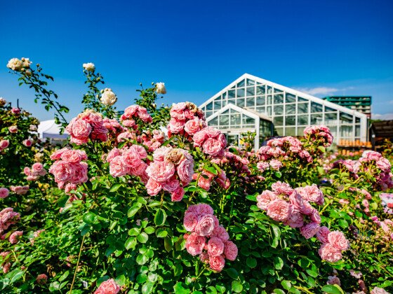 ニチイメゾン八千代緑が丘