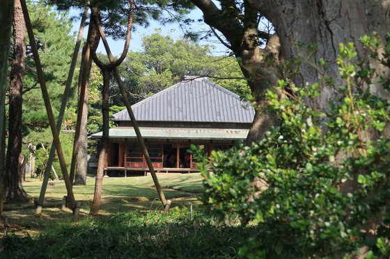 ニチイメゾン小金原