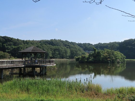 ニチイメゾン小金原