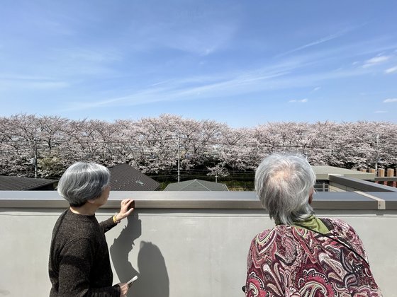 ニチイメゾン柴又